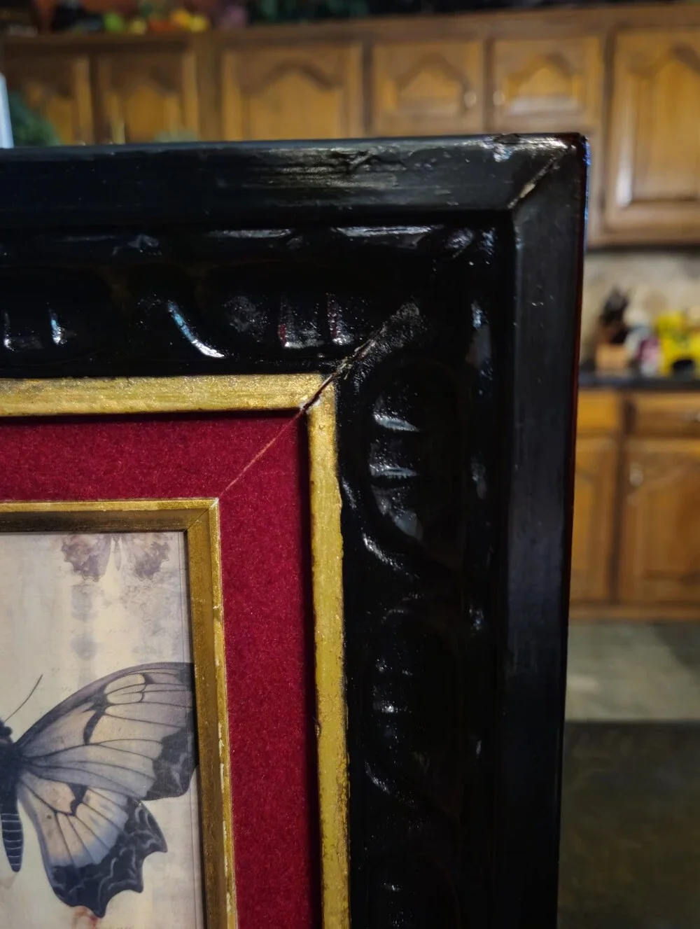Moody Goth Vintage Frame with Butterfly Print Picture